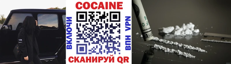 COCAIN Эквадор Шенкурск
