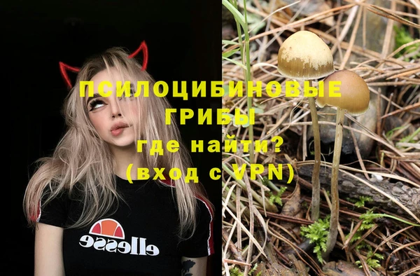 кокс Корсаков