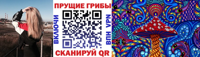 Галлюциногенные грибы GOLDEN TEACHER  закладки  Шенкурск 